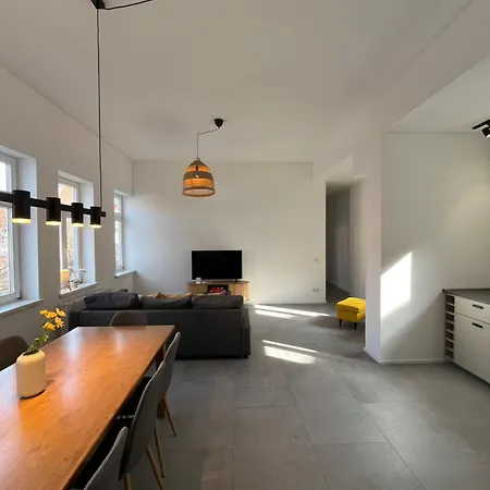 Zentrale Altstadtferienwohnung - Ruhig I Grosse Terrasse I Kostenfreier Parkplatz I Trockner I Xxl Bett * Erfurt