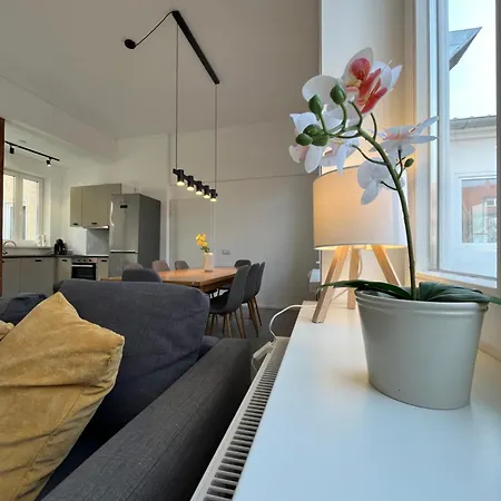 Zentrale Altstadtferienwohnung - Ruhig I Grosse Terrasse I Kostenfreier Parkplatz I Trockner I Xxl Bett *